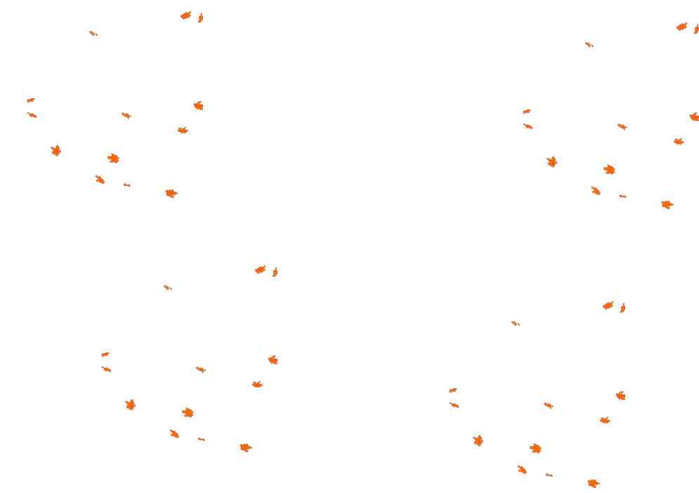 Home background animation